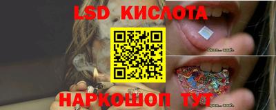 дживик Новозыбков