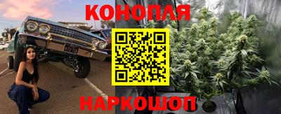 дживик Новозыбков