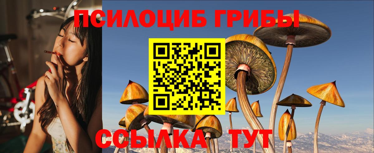 Азнакаево  Галлюциногенные грибы Magic Shrooms  где можно купить наркотик  Вход с VPN 